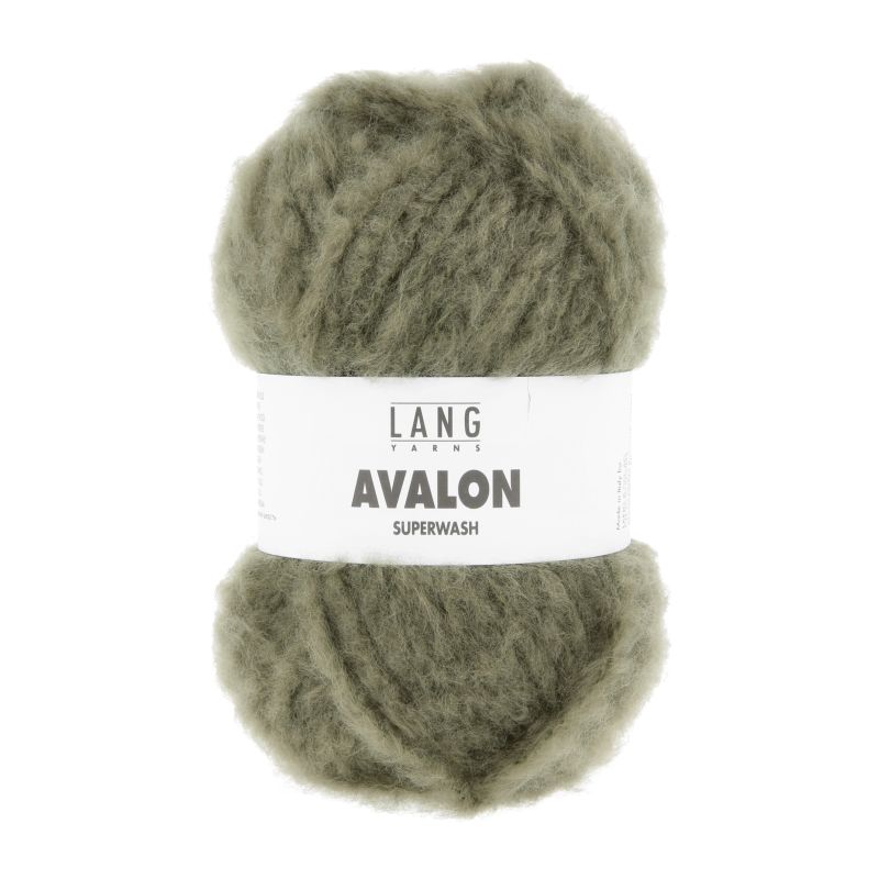 1171.0097 olive