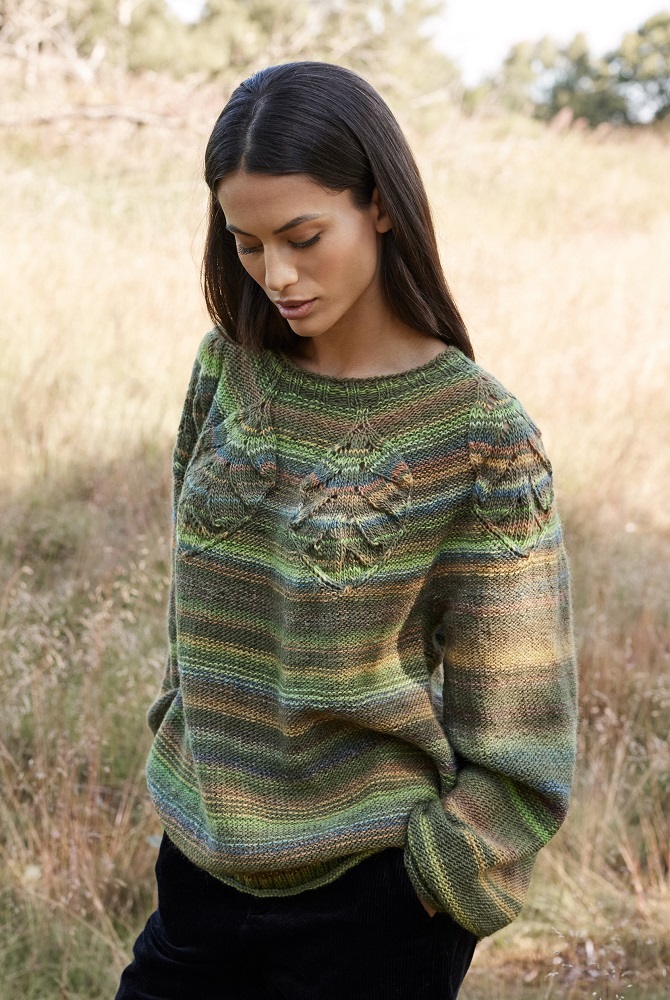 Anleitung Nr. 17895 Pullover aus Gomitolo Magico