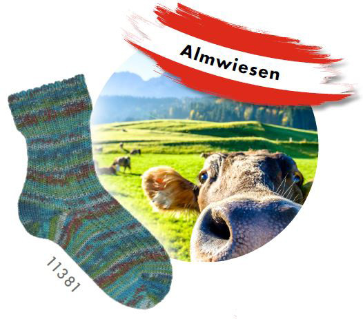 11381 Almwiesen